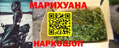 индика Дубна