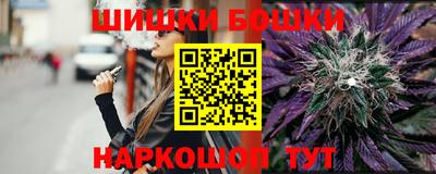 индика Дубна
