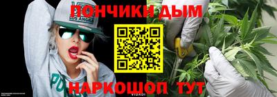 индика Дубна
