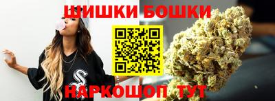 индика Дубна
