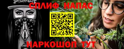 индика Дубна