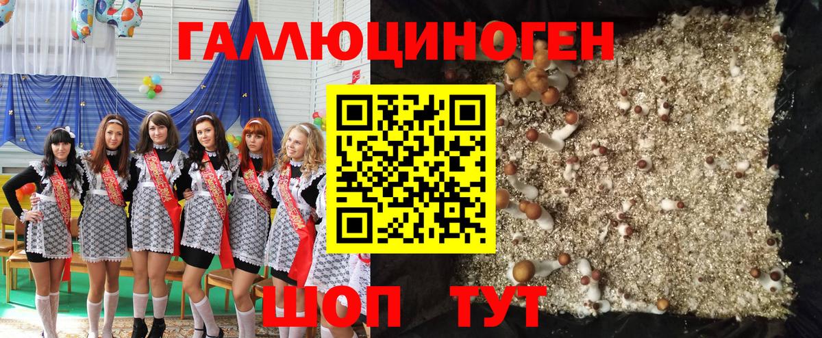 Галлюциногенные грибы MAGIC MUSHROOMS Новосибирск